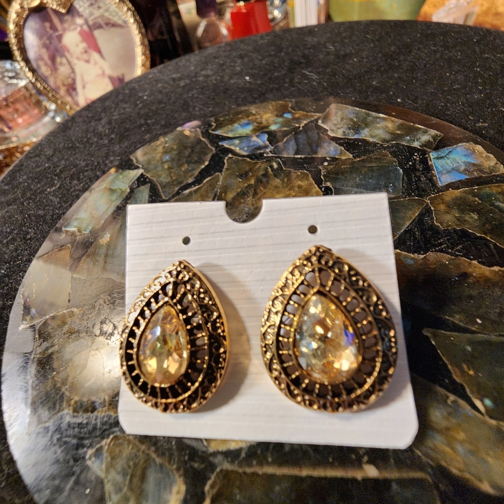 Brand new pierced earrings.